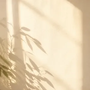 清晨的窗光